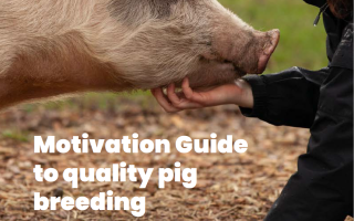 Motivation guide