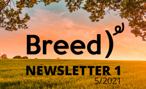 BREED Newsletter 1