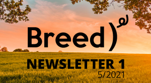 BREED Newsletter 1