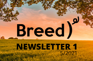 BREED Newsletter 1