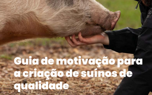 Motivation-guide_PT