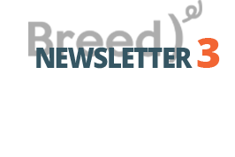 BREED Newsletter 3